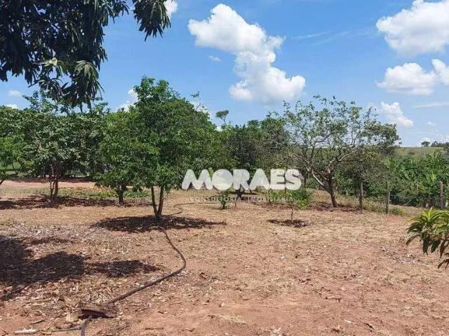 Sítio / Chácara para Venda em Duartina/SP Zona Rural 2 Quartos