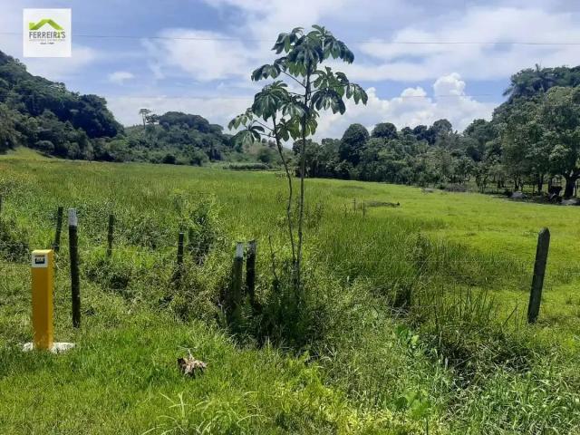 Sítio / Chácara para Venda em Duque de Caxias/RJ Parque Capivari 7 Quartos