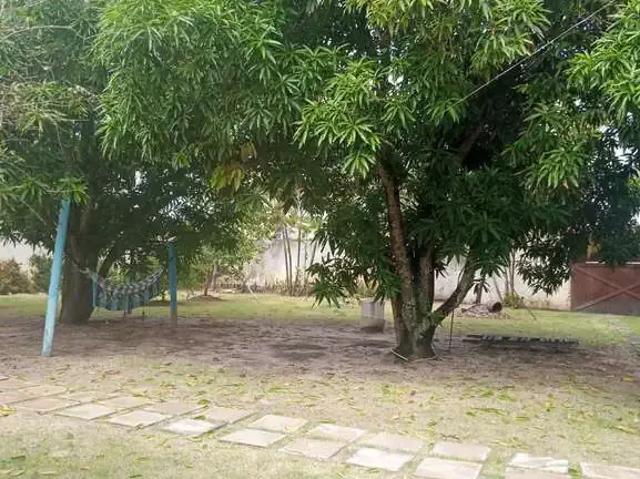Sítio / Chácara para Venda em Entre Rios/BA Porto de Sauipe 6 Quartos