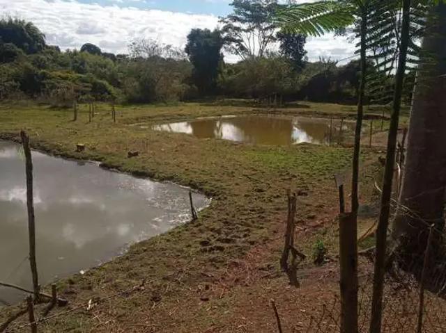 Sítio / Chácara para Venda em Engenheiro Coelho/SP Zona Rural 3 Quartos