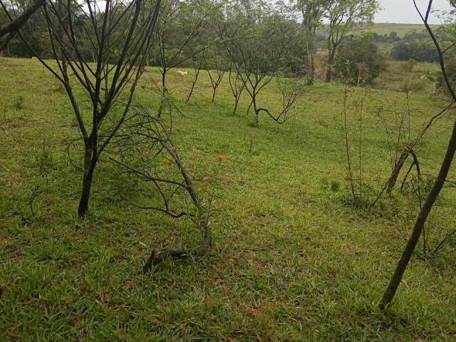 Sítio / Chácara para Venda em Engenheiro Coelho/SP Área Rural de Engenheiro Coelho