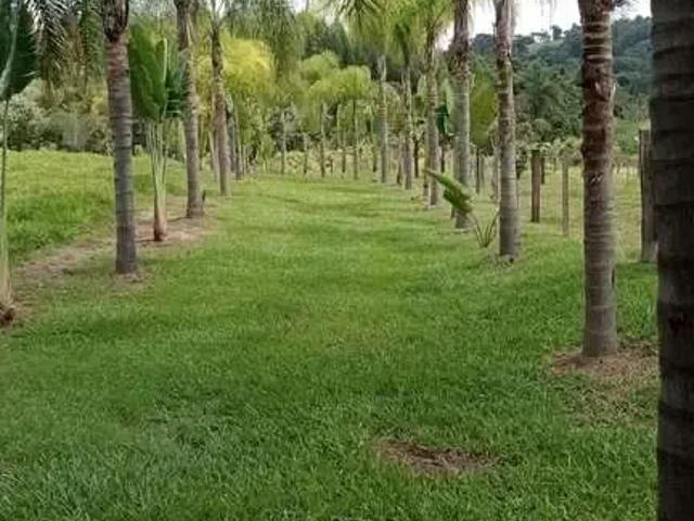 Sítio / Chácara para Venda em Engenheiro Coelho/SP Área Rural de Engenheiro Coelho 3 Quartos