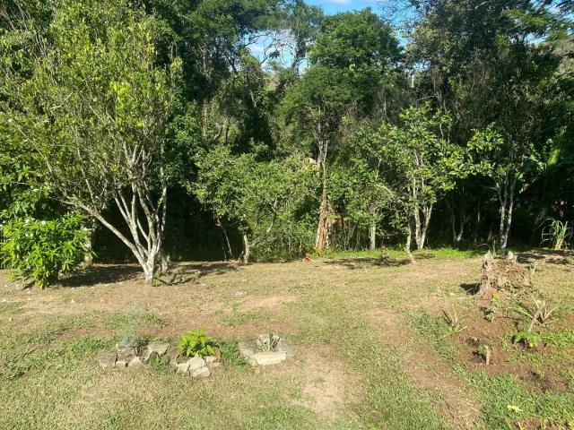 Sítio / Chácara para Venda em Engenheiro Paulo de Frontin/RJ Morro Azul do Tinguá 3 Quartos