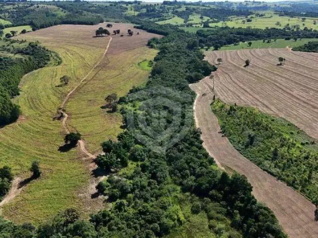 Sítio / Chácara para Venda em Echaporã/SP Zona Rural