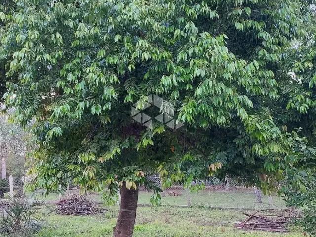 Sítio / Chácara para Venda em Eldorado do Sul/RS Parque Eldorado 1 Quartos