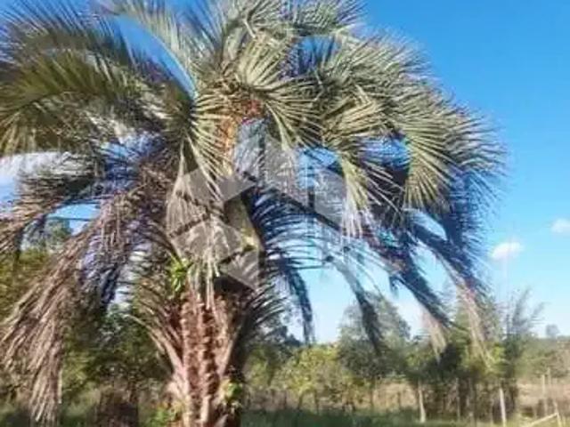 Sítio / Chácara para Venda em Eldorado do Sul/RS Parque Eldorado 3 Quartos