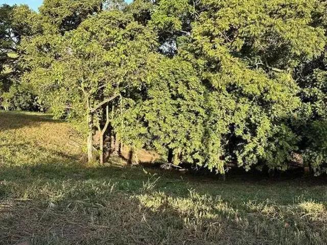 Sítio / Chácara para Venda em Elias Fausto/SP Cardeal