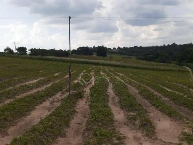 Sítio / Chácara para Venda em Elias Fausto/SP Saltinho 3 Quartos