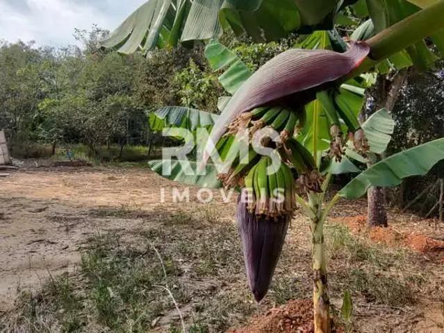 Sítio / Chácara para Venda em Elias Fausto/SP Área Rural de Elias Fausto 2 Quartos