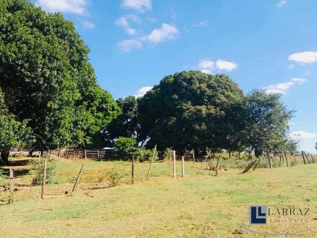 Sítio / Chácara para Venda em Estrela do Norte/SP Zona Rural