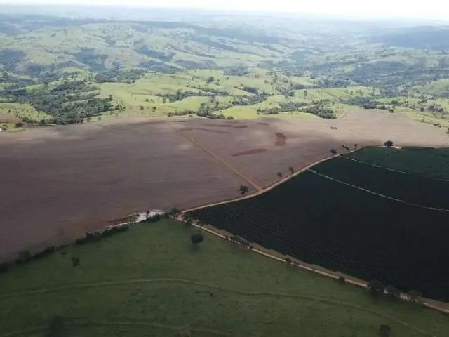 Sítio / Chácara para Venda em Estrela do Sul/MG Zona Rural