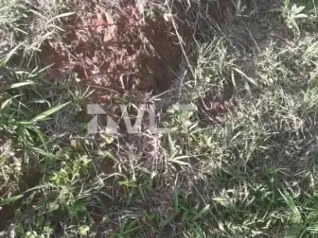 Sítio / Chácara para Venda em Espírito Santo do Dourado/MG Centro 2 Quartos