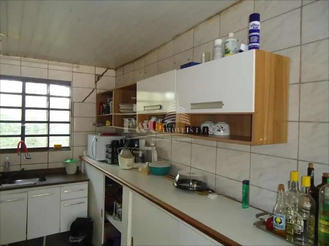 Sítio / Chácara para Venda em Espírito Santo do Pinhal/SP Centro 2 Quartos