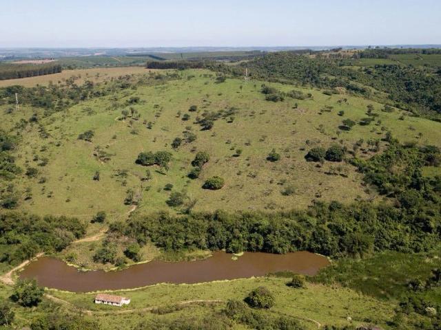 Sítio / Chácara para Venda em Espírito Santo do Pinhal/SP Centro 4 Quartos