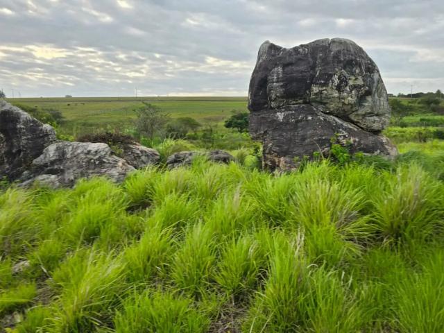 Sítio / Chácara para Venda em Espírito Santo/RN Zona Rural 2 Quartos