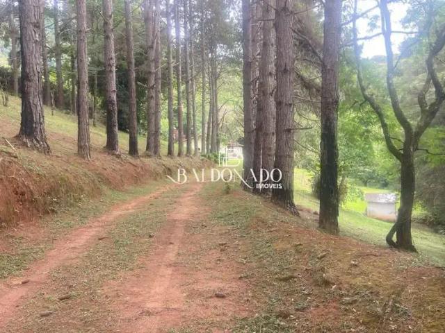Sítio / Chácara para Venda em Extrema/MG Centro 4 Quartos