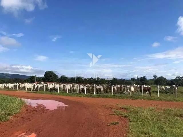 Sítio / Chácara para Venda em Formosa/GO Área Rural de Formosa 1 Quartos
