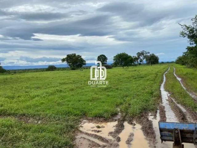 Sítio / Chácara para Venda em Formosa/GO Setor Primavera 1 Quartos