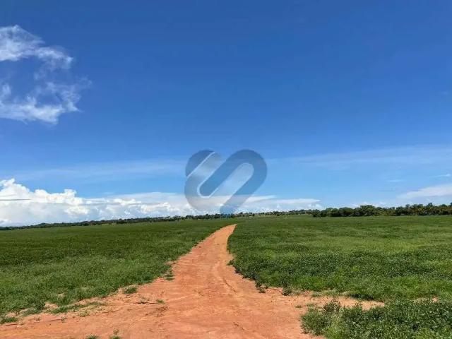 Sítio / Chácara para Venda em Formoso do Araguaia/TO Zona Rural 1 Quartos