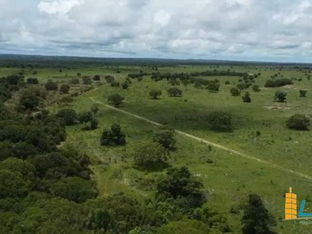 Sítio / Chácara para Venda em Formoso do Araguaia/TO Zona Rural