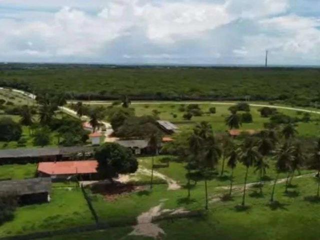Sítio / Chácara para Venda em Fortim/CE Centro