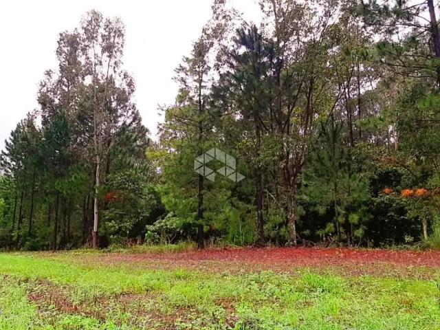Sítio / Chácara para Venda em Faxinal do Soturno/RS Zona Rural 3 Quartos