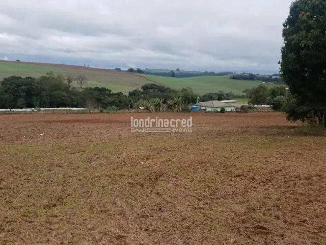 Sítio / Chácara para Venda em Faxinal/PR Centro