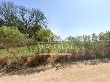 Sítio / Chácara para Venda em Fazenda Rio Grande/PR Passo Amarelo