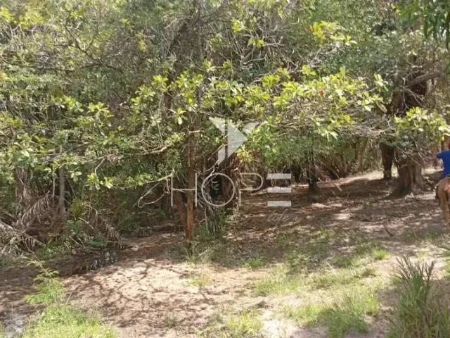 Sítio / Chácara para Venda em Faina/GO Zona Rural 1 Quartos