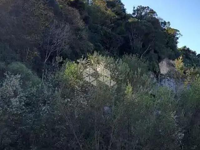 Sítio / Chácara para Venda em Farroupilha/RS Área Rural de Farroupilha