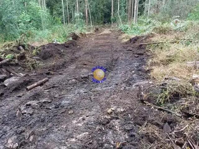 Sítio / Chácara para Venda em Farroupilha/RS Área Rural de Farroupilha