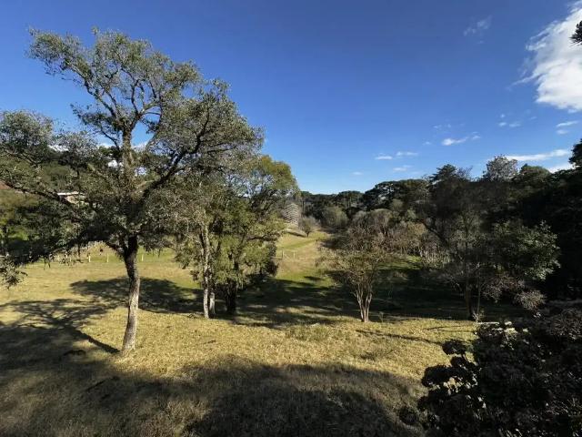 Sítio / Chácara para Venda em Farroupilha/RS Área Rural de Farroupilha