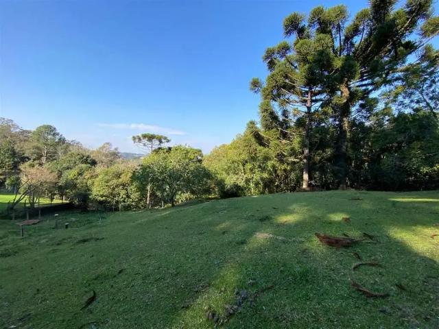 Sítio / Chácara para Venda em Farroupilha/RS Alvorada 1 Quartos