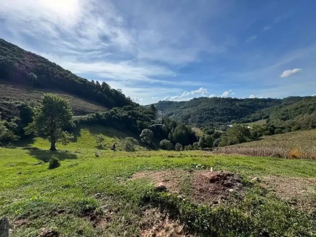 Sítio / Chácara para Venda em Farroupilha/RS Área Rural de Farroupilha