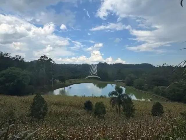Sítio / Chácara para Venda em Farroupilha/RS Área Rural de Farroupilha