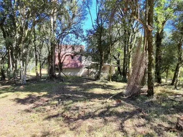 Sítio / Chácara para Venda em Farroupilha/RS Forqueta