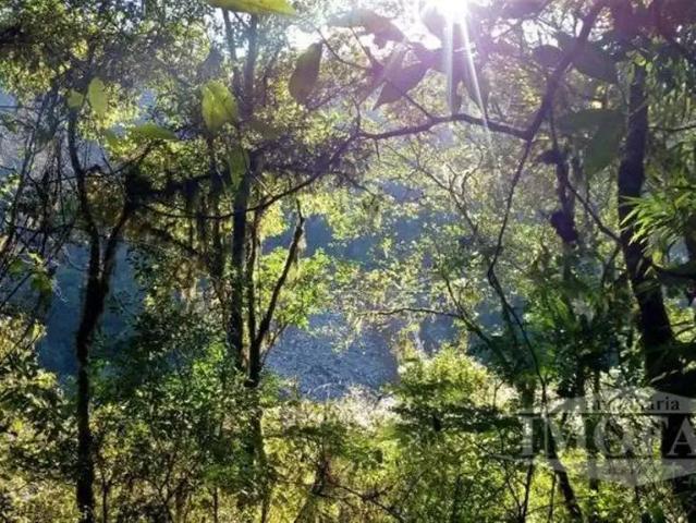 Sítio / Chácara para Venda em Farroupilha/RS Jansen
