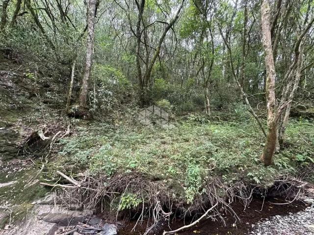 Sítio / Chácara para Venda em Farroupilha/RS Jansen