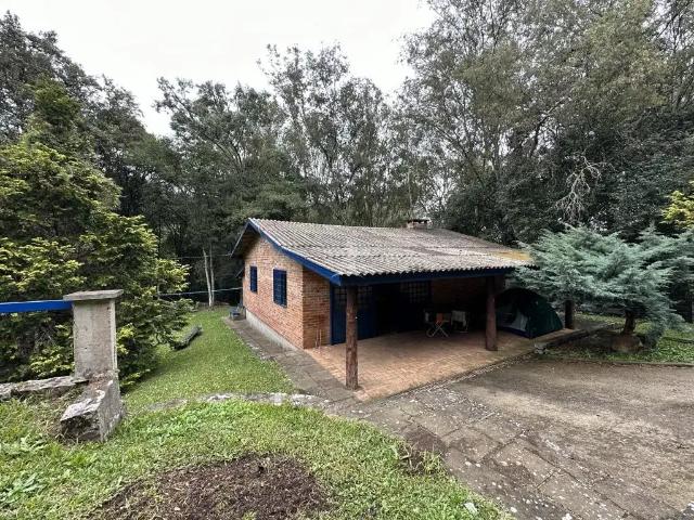 Sítio / Chácara para Venda em Farroupilha/RS Linha Palmeiro