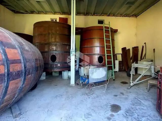 Sítio / Chácara para Venda em Farroupilha/RS Nova Milano 6 Quartos