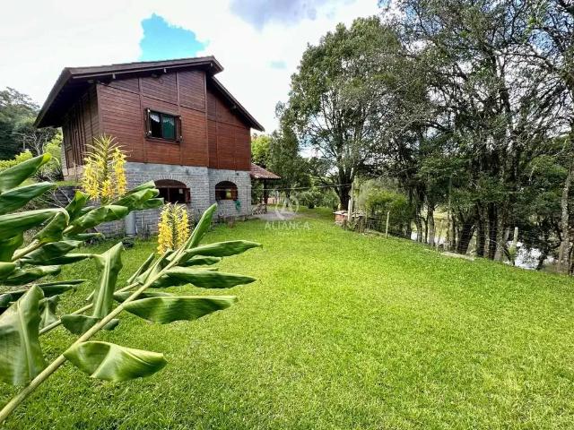 Sítio / Chácara para Venda em Farroupilha/RS Nova Sardenha Distrito 3 Quartos