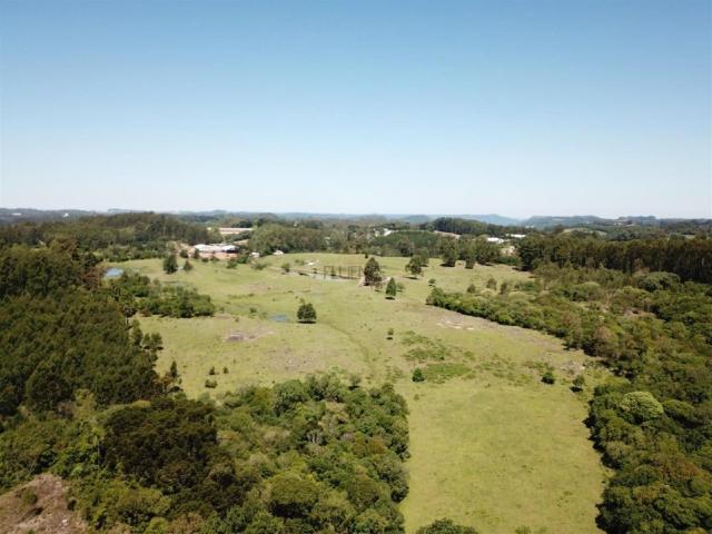 Sítio / Chácara para Venda em Farroupilha/RS Nova Sardenha Distrito