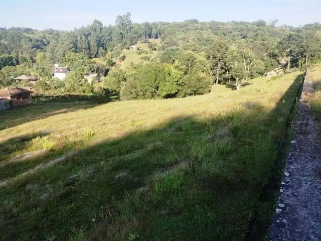Sítio / Chácara para Venda em Farroupilha/RS Nova Sardenha Distrito