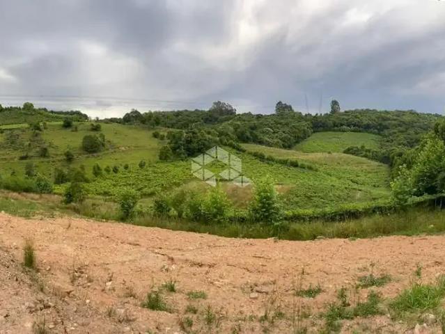 Sítio / Chácara para Venda em Farroupilha/RS São Marcos