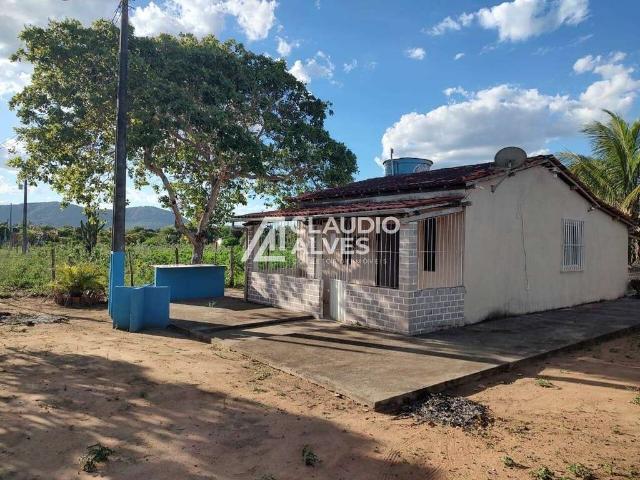 Sítio / Chácara para Venda em Feira de Santana/BA Maria Quitéria 2 Quartos