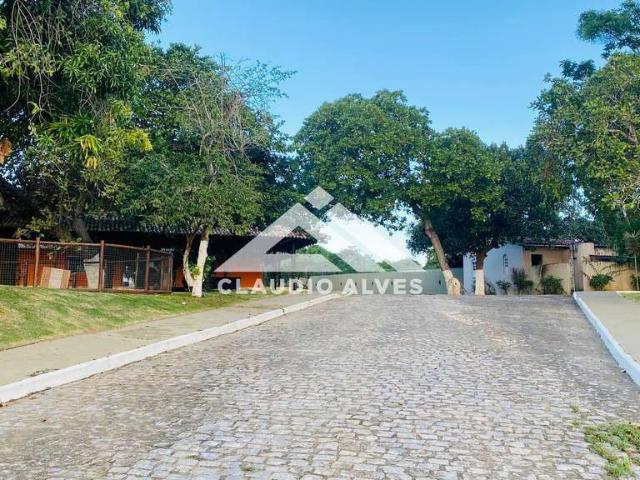 Sítio / Chácara para Venda em Feira de Santana/BA Maria Quitéria