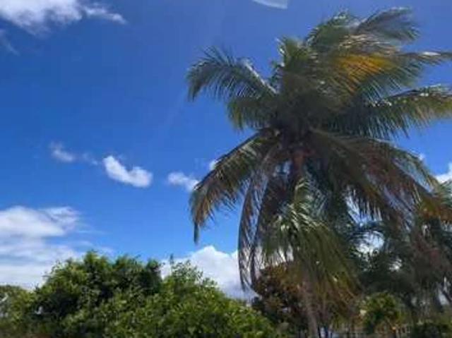 Sítio / Chácara para Venda em Feira de Santana/BA Aeroporto 6 Quartos