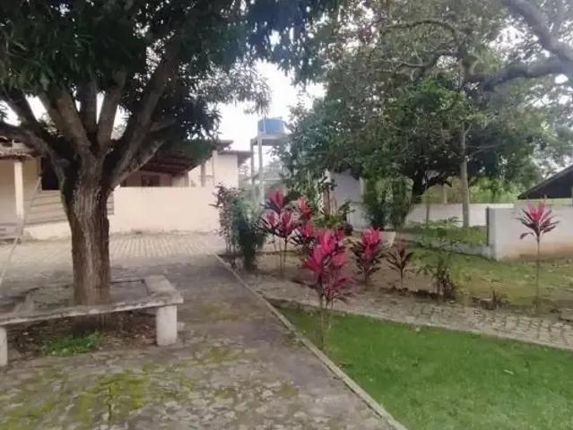 Sítio / Chácara para Venda em Feira de Santana/BA Distrito de Matinha 3 Quartos