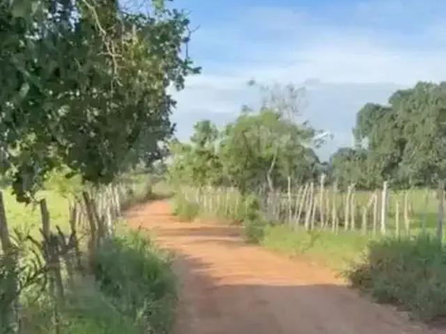 Sítio / Chácara para Venda em Feira Nova/PE Centro