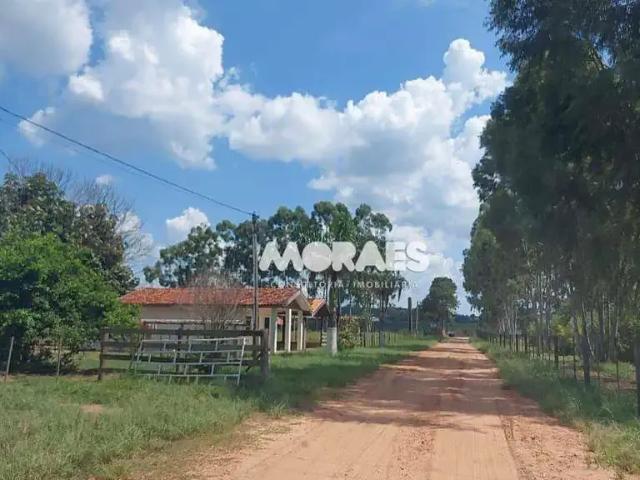 Sítio / Chácara para Venda em Fernão/SP Zona Rural